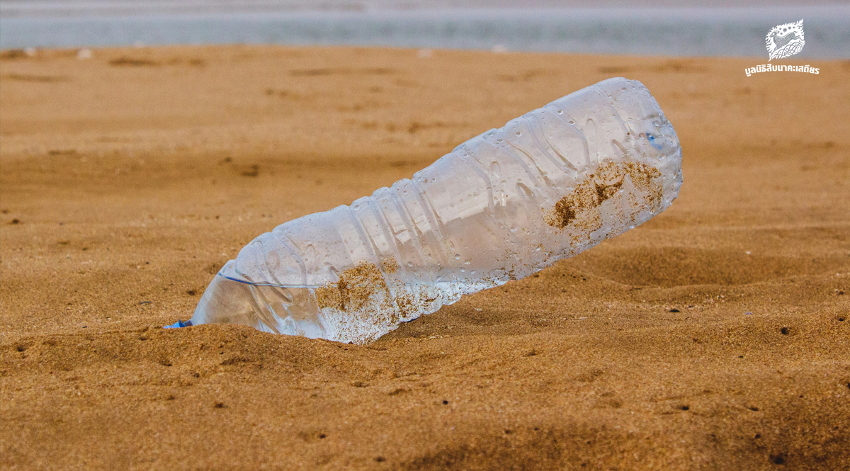 การแยกพลาสติก-จุดเริ่มต้นเล็กๆ-ของระบบจัดการขยะ-ที่อาจเปลี่ยนสมการคาร์บอนของโลก-–-มูลนิธิสืบนาคะเสถียร