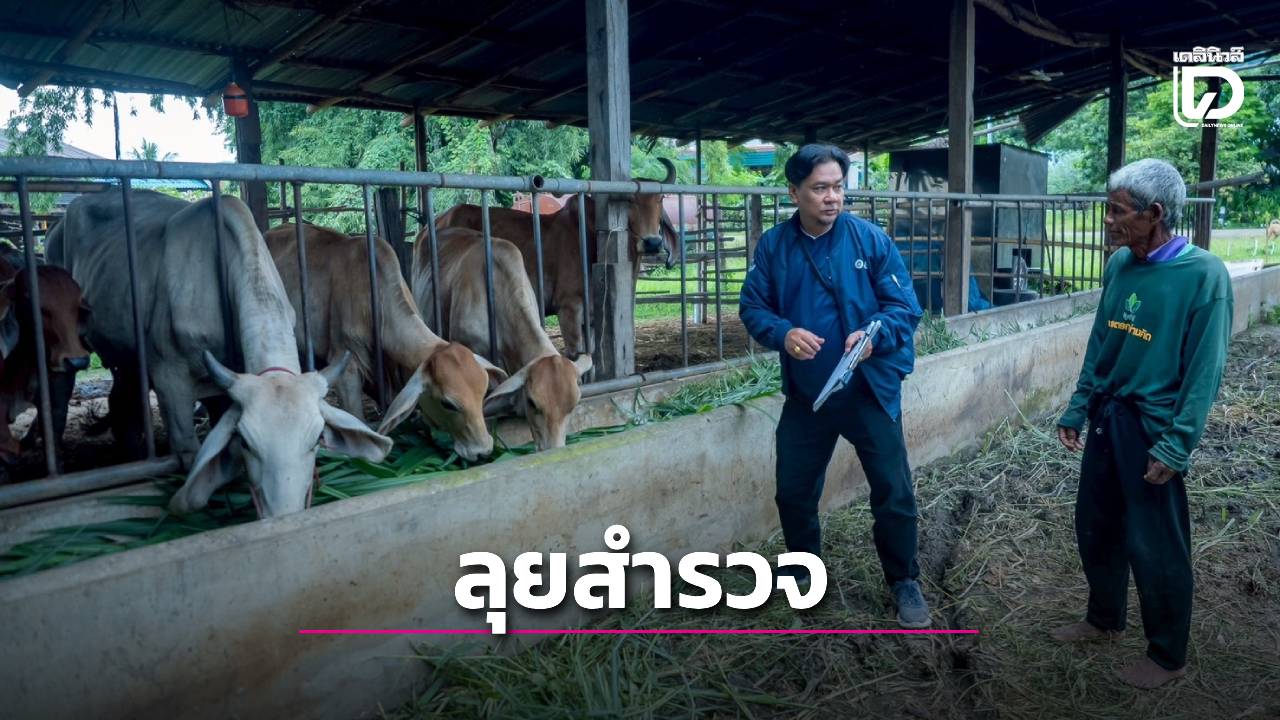 สำรวจภาวะเศรษฐกิจสังคมครัวเรือนและแรงงานเกษตร-ปี-68/69-|-เดลินิวส์
