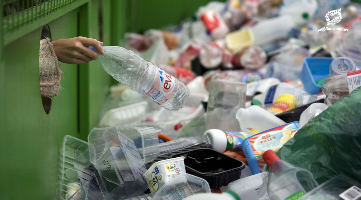 วงจรรีไซเคิลที่ขาดหาย-ในโครงสร้างเศรษฐกิจแบบใช้แล้วทิ้ง-–-มูลนิธิสืบนาคะเสถียร
