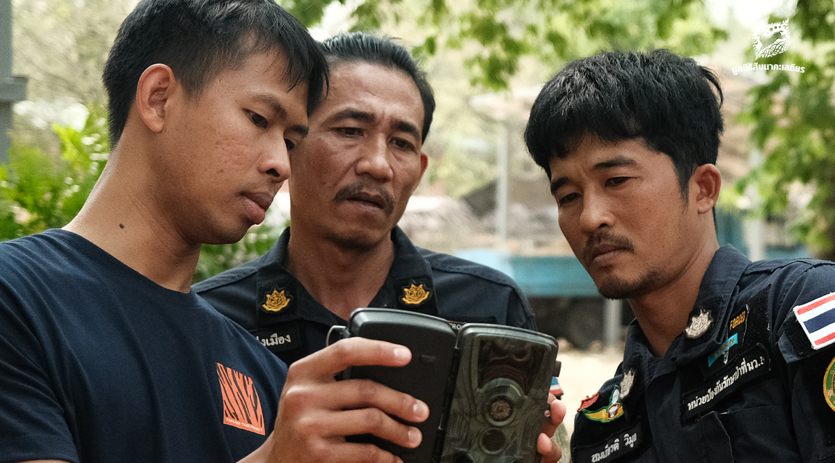 กล้องดักถ่ายภาพสัตว์ป่า-ดวงตาแห่งพงไพร-(ตอนที่-3-งานอนุรักษ์ในประเทศไทย)-–-มูลนิธิสืบนาคะเสถียร