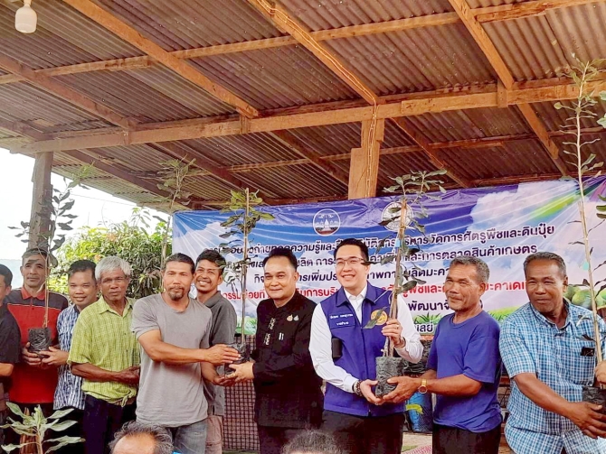 เลยดัน-“มะคาเดเมีย”-พืชเศรษฐกิจ-ตั้งเป้าขึ้นแท่นอันดับ-1-ของประเทศ