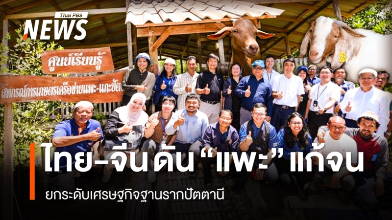 ไทย-จีน-จับมือดัน-“แพะ”-โมเดลแก้จน-ยกระดับเศรษฐกิจฐานรากปัตตานี
