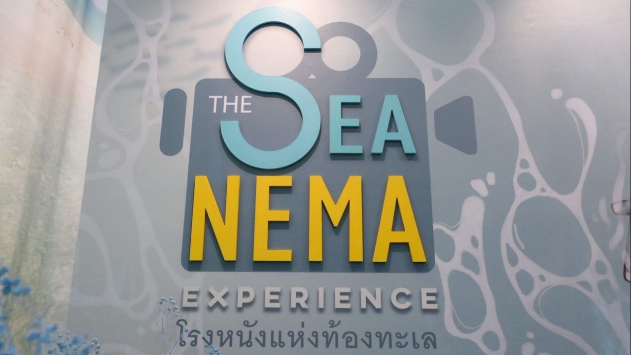 ชวนดู-นิทรรศการโรงหนังแห่งท้องทะเล-สำรวจวิกฤตโลกใต้ทะเลผ่านงานศิลป์