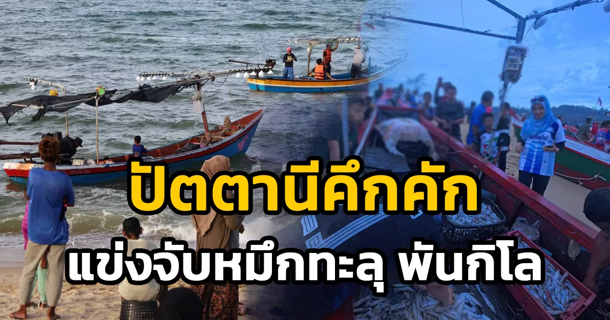 ปัตตานีคึกคัก!-บรรยากาศ-เทศกาล-“ตกหมึก-แคมป์ปิ้ง”-หาดแฆแฆ-โชว์ศักยภาพทะเลใต้-ทึ่ง-ยอดจับหมึกทะลุ-1,000-กก.