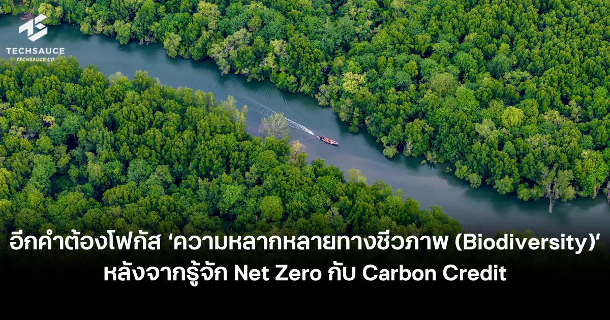 หลัง-net-zero-ต้องรู้จัก