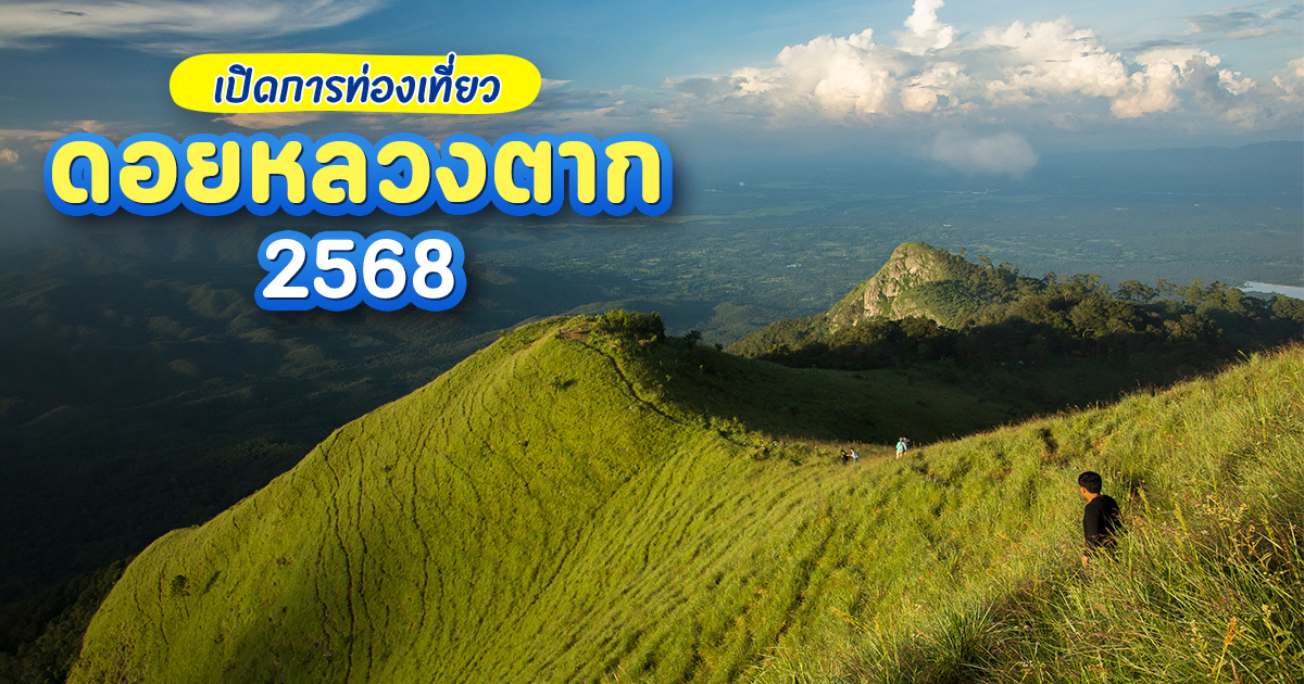 ดอยหลวงตาก-2568-เปิดแล้ว-เส้นทางเดินป่าแห่งปีรอสายลุยอยู่