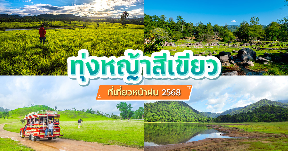 เที่ยวหน้าฝน-2568-กับ-7-ทุ่งหญ้าสีเขียวทั่วไทย-วิวสวย-ฟีลธรรมชาติสุดละมุน