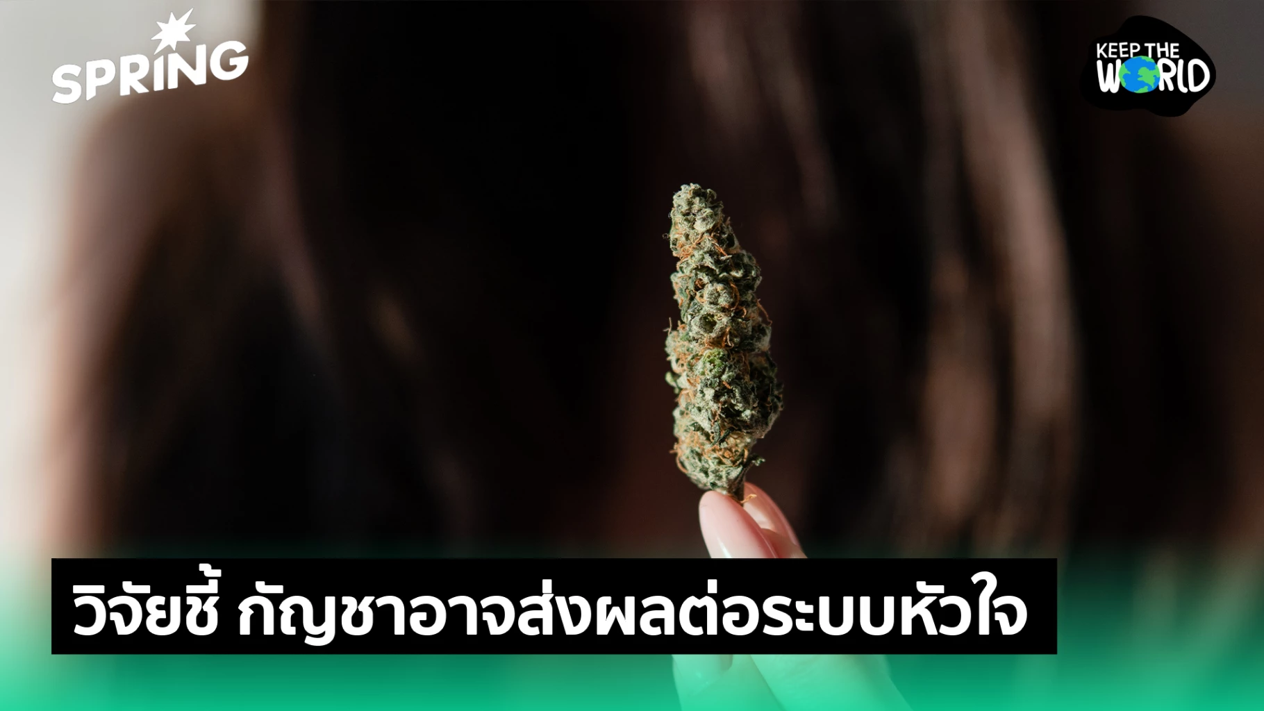 งานวิจัยใหม่เผย-ความเสี่ยงของการใช้กัญชาต่อระบบหัวใจ
