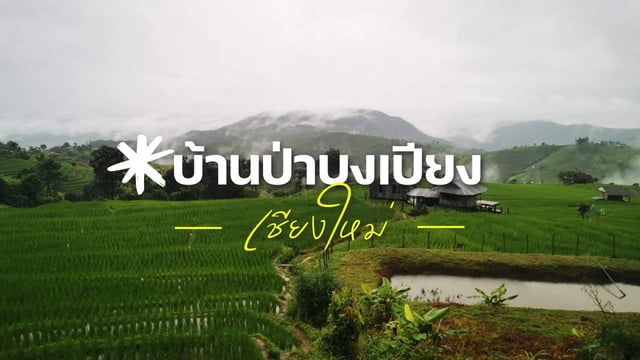 ปักหมุดหนีเมืองกรุง-ไปนอนฟังลมที่ป่าบงเปียง-เชียงใหม่