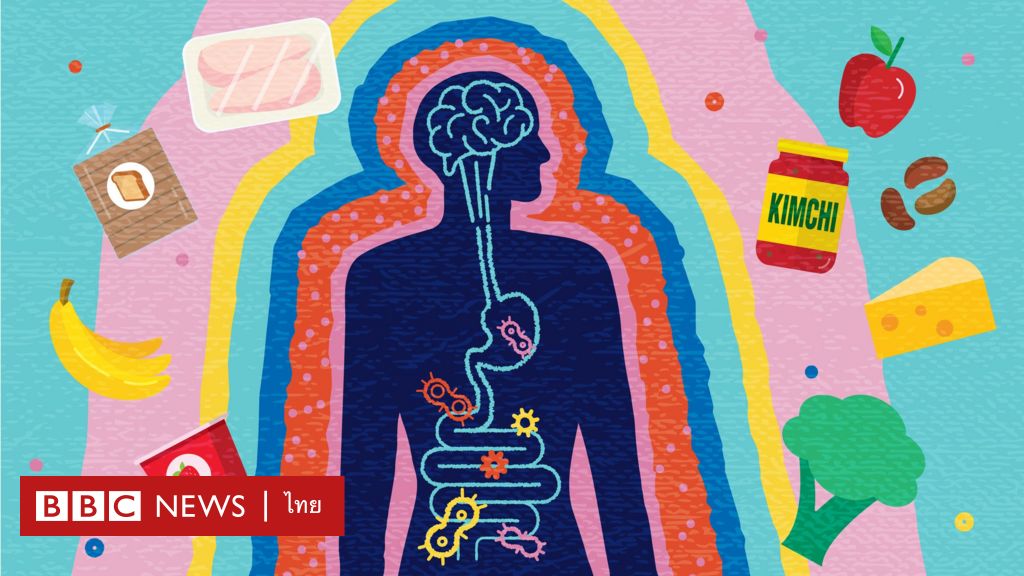 เปิดคู่มือดูแลสุขภาพลำไส้-ของต้องกินและของต้องห้ามมีอะไรบ้าง-–-bbc-news-ไทย