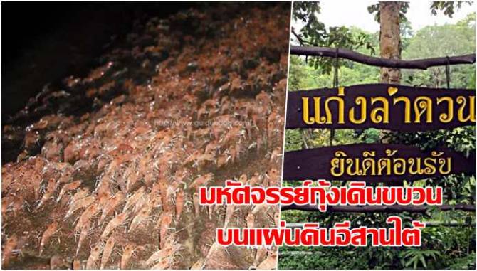 ไปลุยป่าหน้าฝน-มหัศจรรย์กุ้งเดินขบวน-ชมธรรมชาติสวยงาม-บนแผ่นดินอีสานใต้