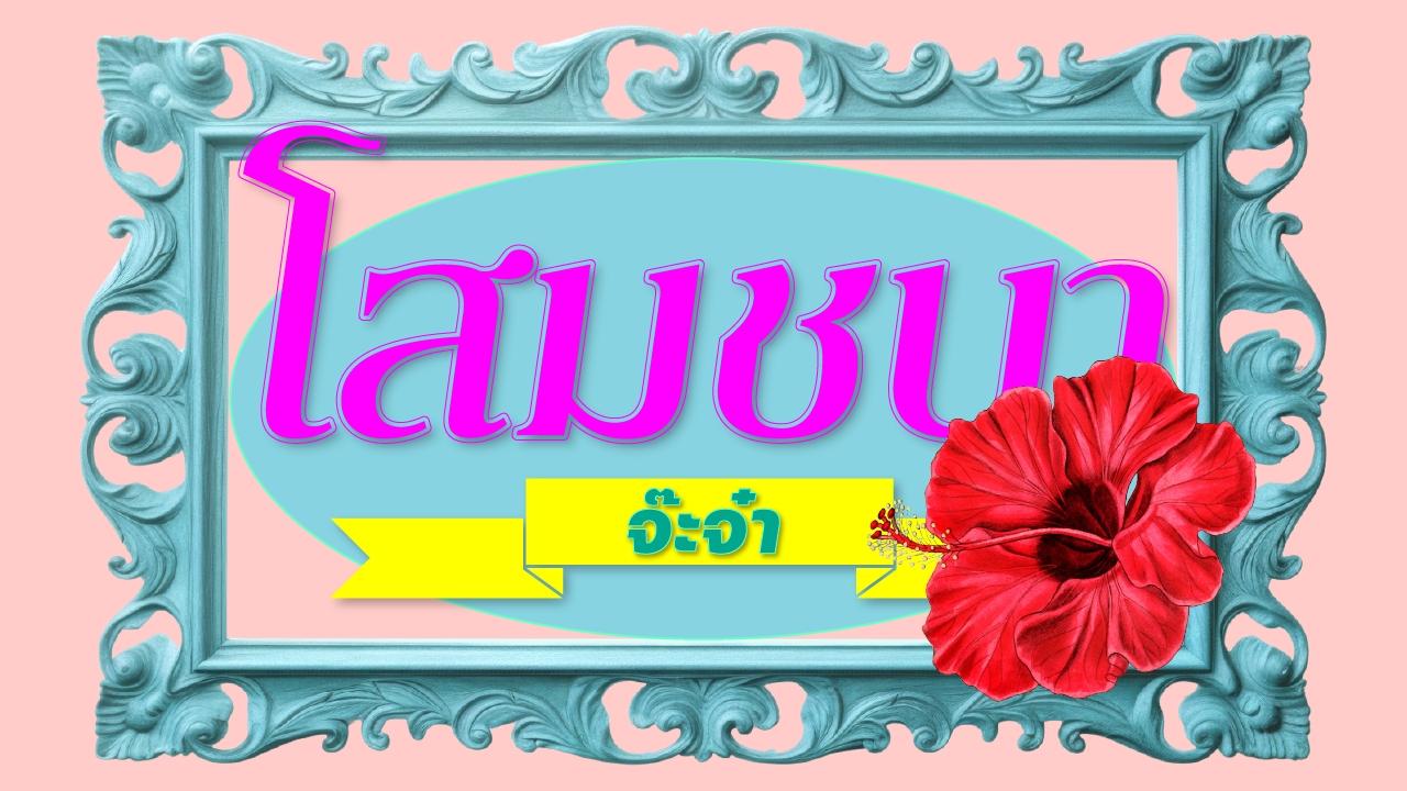 โสมชบาจ๊ะจ๋า-14-มิถุนายน-2568