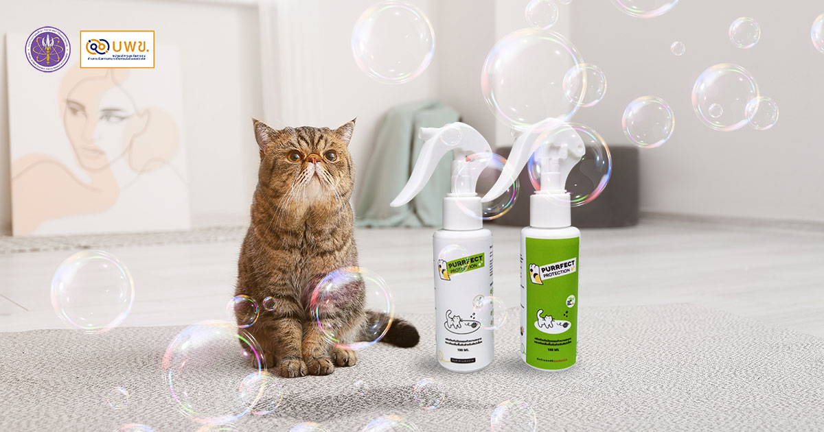 บพข.-+-int-@-mu-หนุนสตาร์ทอัพสินค้านวัตกรรม-purrfect-protection
