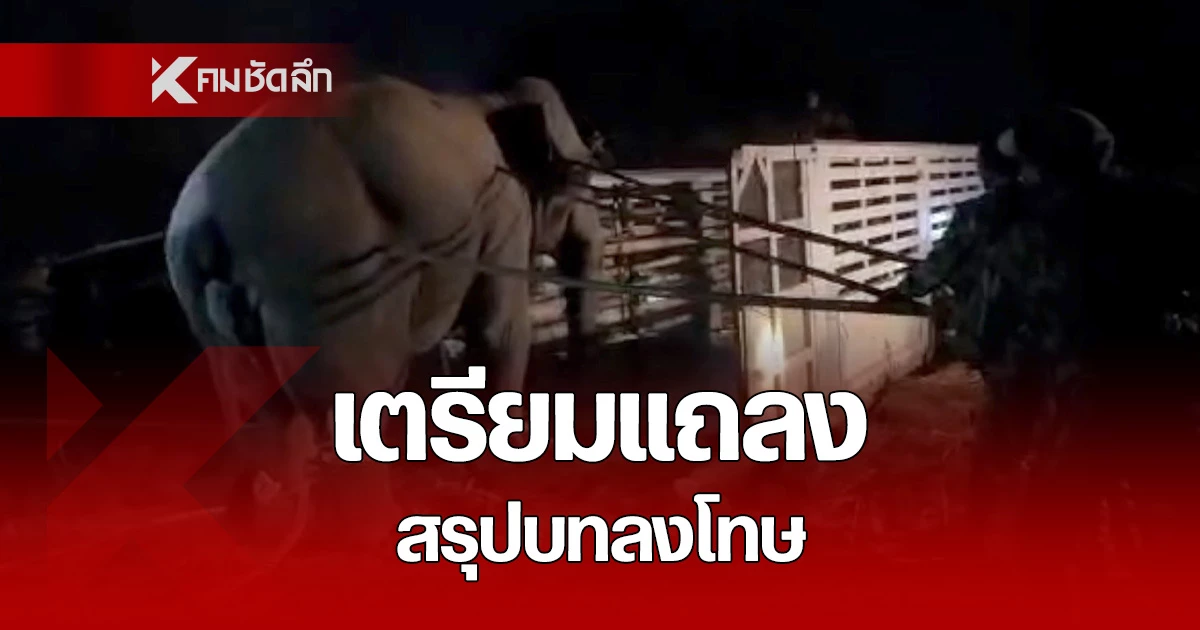 กรมอุทยานฯ-จ่อแถลงผลสอบ-“สีดอหูพับ”-พร้อมบทลงโทษ-ภายใน-2-สัปดาห์