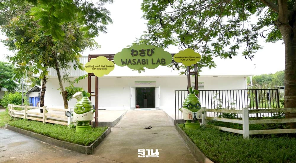 เจนใหม่-‘เพ-ลา-เพลิน’ -พลิกโมเดลสู่ศูนย์การเรียนรู้ -ชู-‘วาซาบิ’-ปั้นมาร์จิ้น