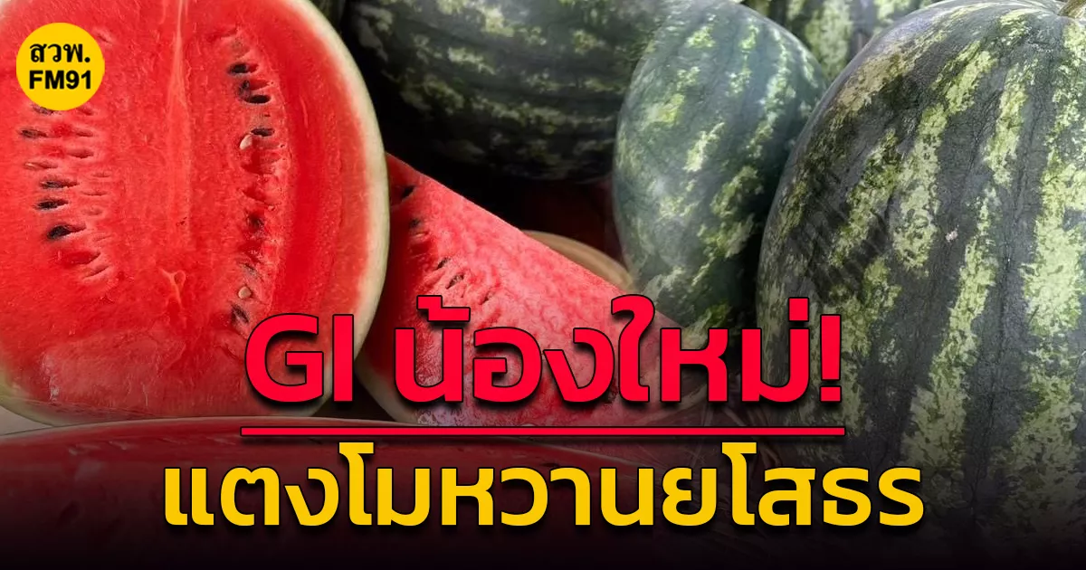 gi-น้องใหม่!-“แตงโมหวานยโสธร”-กรมทรัพย์สินทางปัญญา-หวังดันสินค้าเกษตร-ยกระดับเศรษฐกิจชุมชน