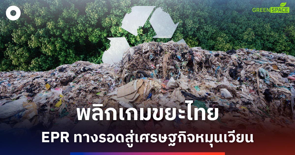 epr-พลิกเกมขยะไทย-ทางรอดเดียวสู่เศรษฐกิจหมุนเวียน