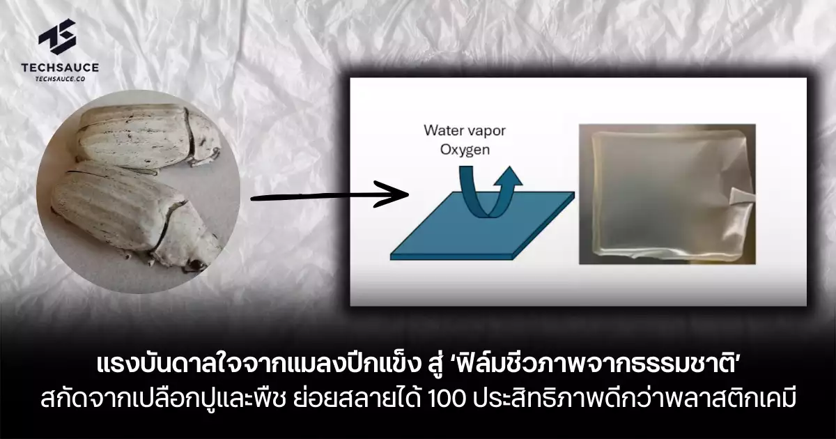 แรงบันดาลใจจาก