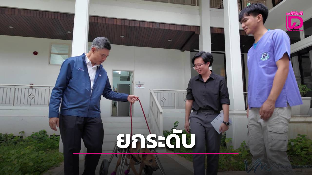 มช.-ขับเคลื่อน-“หมา-คู-เมือง”-โมเดลจัดการสุนัขชุมชนรวมพลังเครือข่าย-ยกระดับเมืองท่องเที่ยวสู่สมดุลคน-สัตว์-|-เดลินิวส์