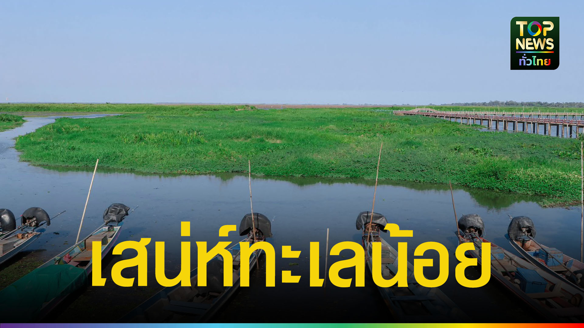 ผู้ว่าฯ-พัทลุง-ล่องเรือทะเลน้อย-ดันสู่ท่องเที่ยวนานาชาติ-ชูแลนด์มาร์กใหม่ต้นลำพู-|-topnews