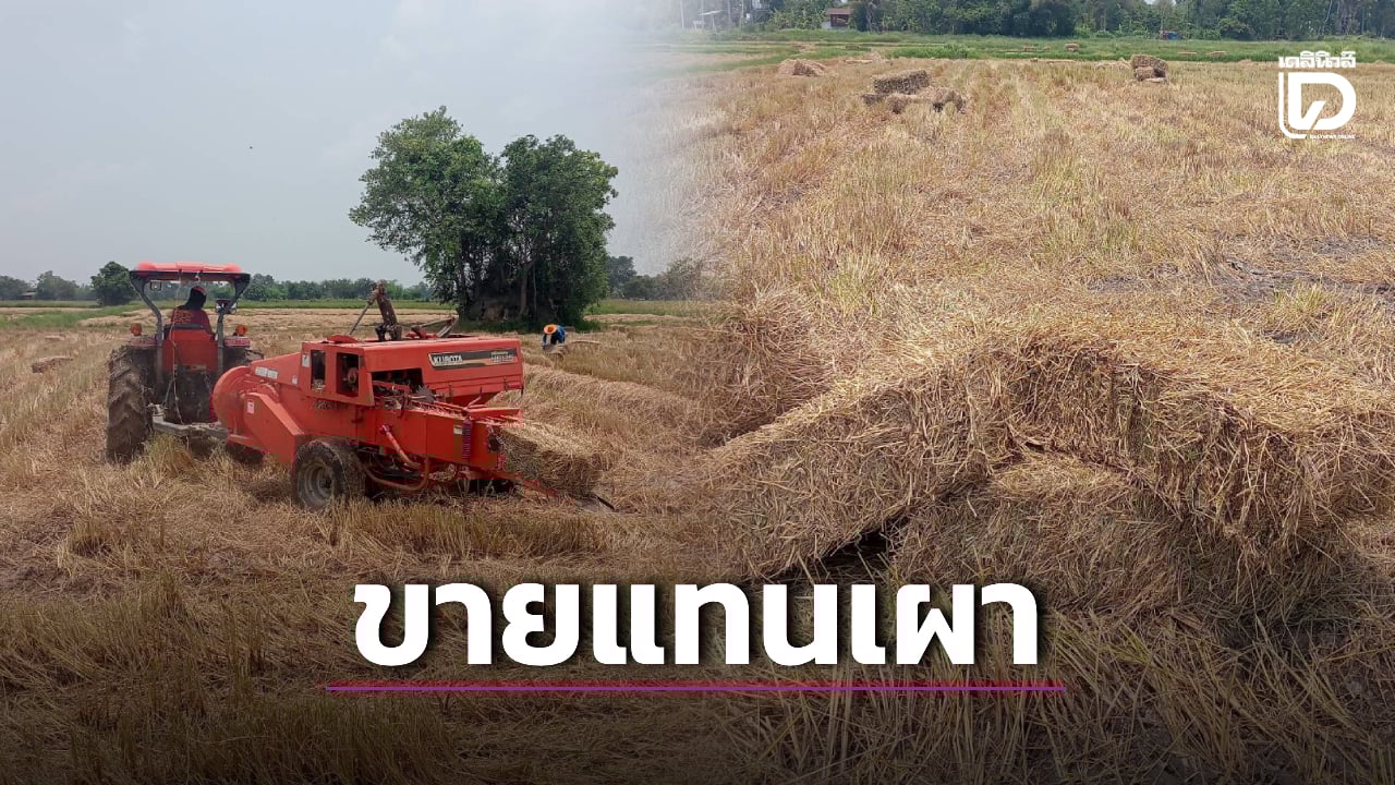 สู้พิษเศรษฐกิจ!-พลิกวิกฤติอัดฟางข้าวส่งโรงไฟฟ้าชีวมวล-แทนเผาทำลายลดpm2.5-|-เดลินิวส์