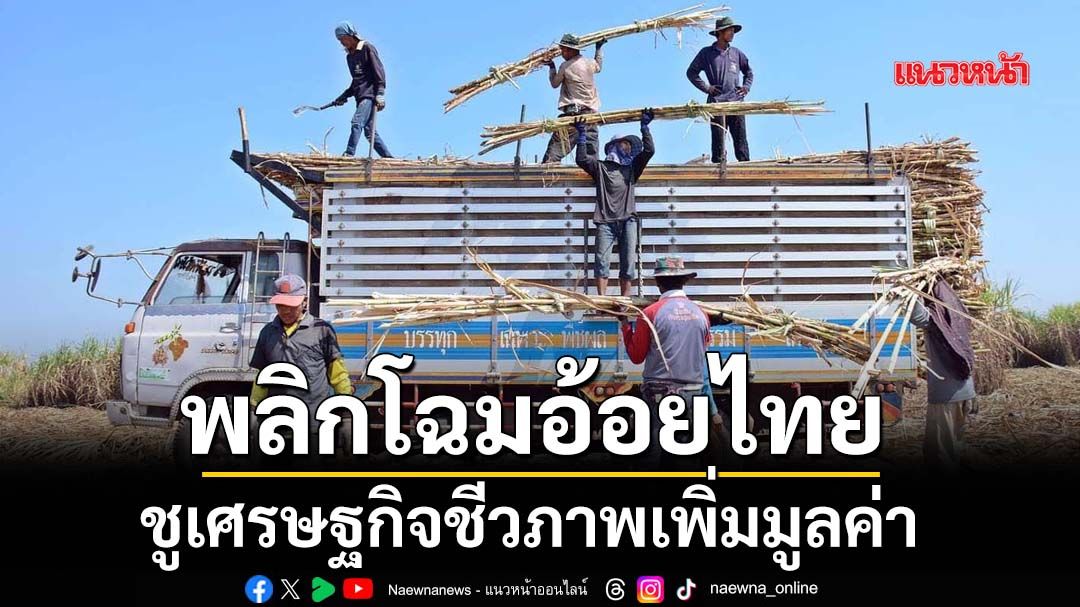 พลิกโฉมอ้อยไทย-ชูเศรษฐกิจชีวภาพเพิ่มมูลค่า