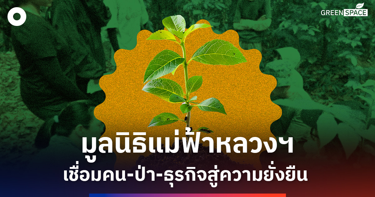 พลิกงานอนุรักษ์สู่เศรษฐกิจสีเขียว-มูลนิธิแม่ฟ้าหลวงฯ-เชื่อม-‘คน-ป่า-ธุรกิจ’-เติบโตบนทุนธรรมชาติอย่างยั่งยืน
