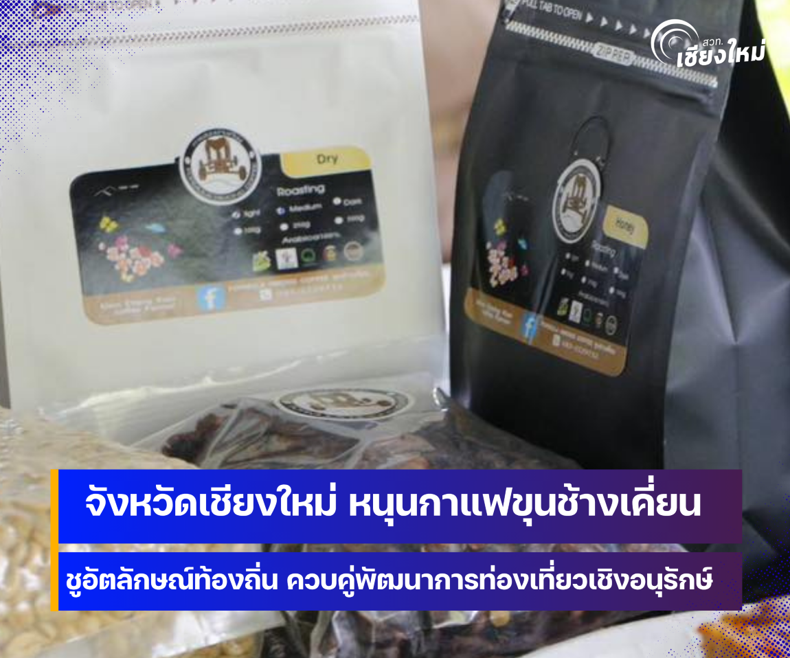 จังหวัดเชียงใหม่-หนุนกาแฟขุนช้างเคี่ยน-ชูอัตลักษณ์ท้องถิ่น