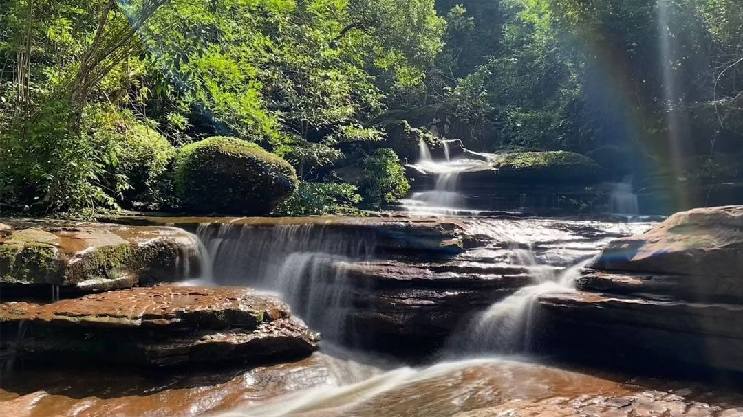 อุทยานฯภูลังกา-เตรียมเปิดให้นักท่องเที่ยวสัมผัสความงดงาม