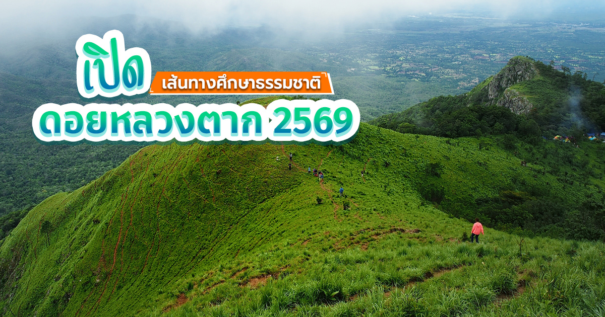 ดอยหลวงตาก-2569-ชวนเดินป่าชมทะเลหมอก-วิวภูเขาสุดประทับใจ