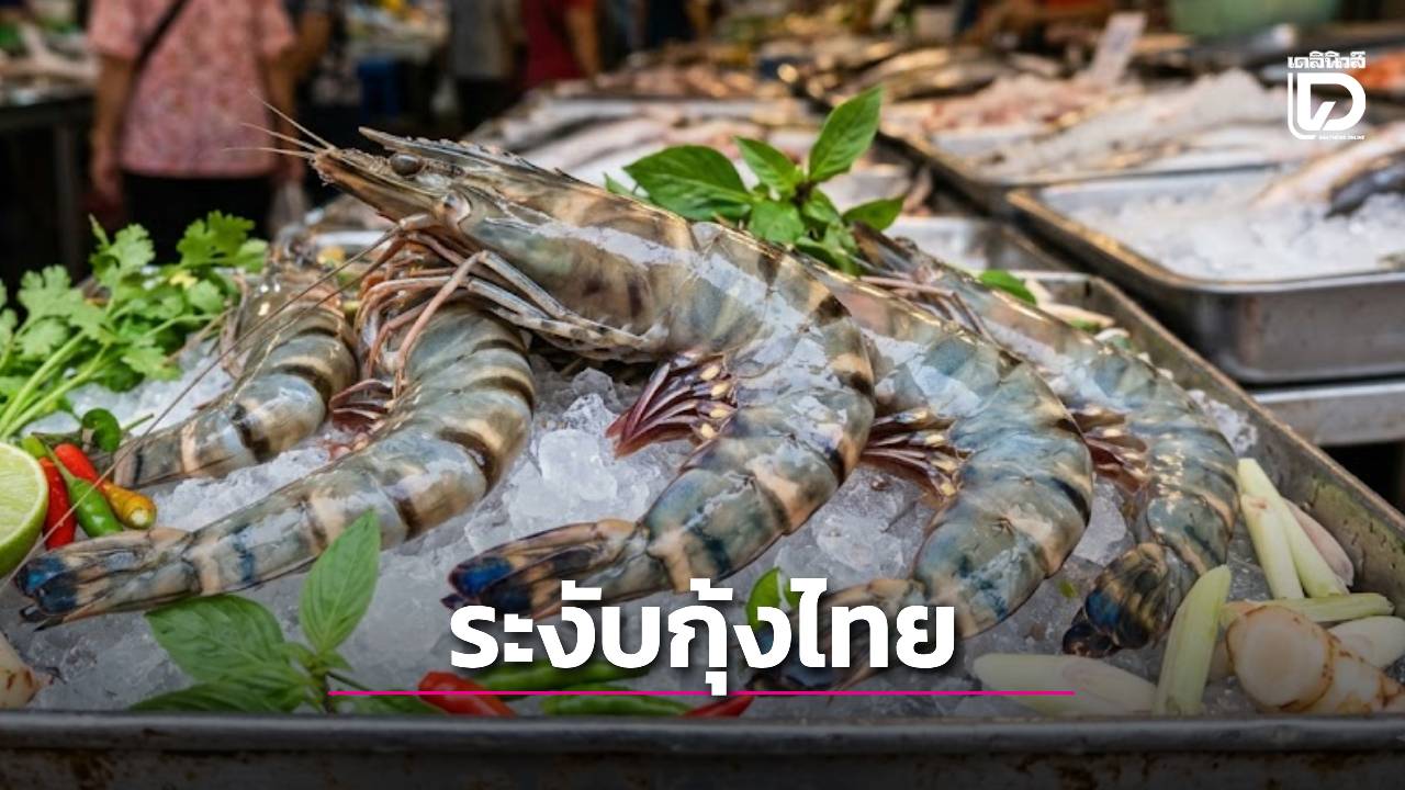 ‘มาเลเซีย’-ตอบโต้การตรวจนำเข้า-‘ปลากะพงขาว’-สั่งระงับการนำเข้ากุ้งจากไทยแล้ว-|-เดลินิวส์