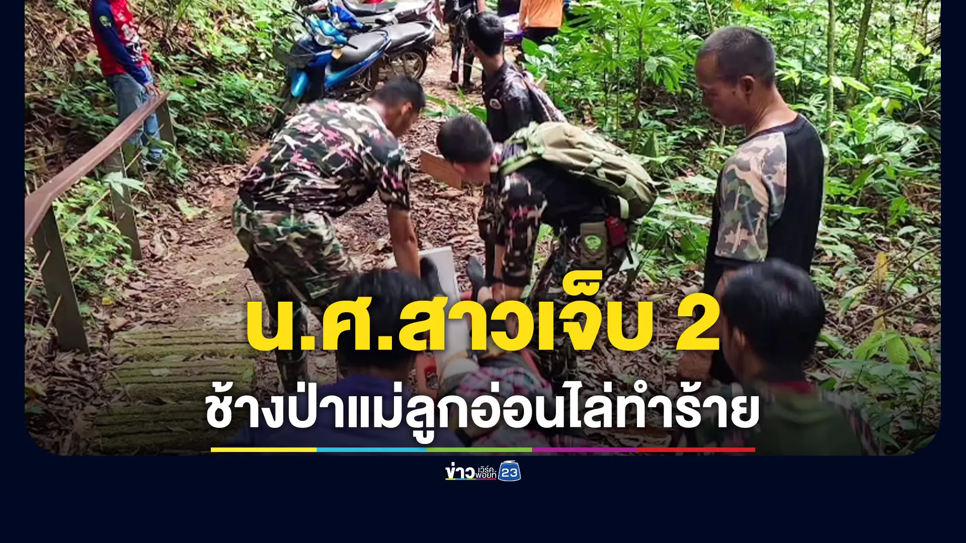 ช้างป่าแม่ลูกอ่อน-ทำร้ายนักศึกษาสาว-บาดเจ็บ-2-ราย