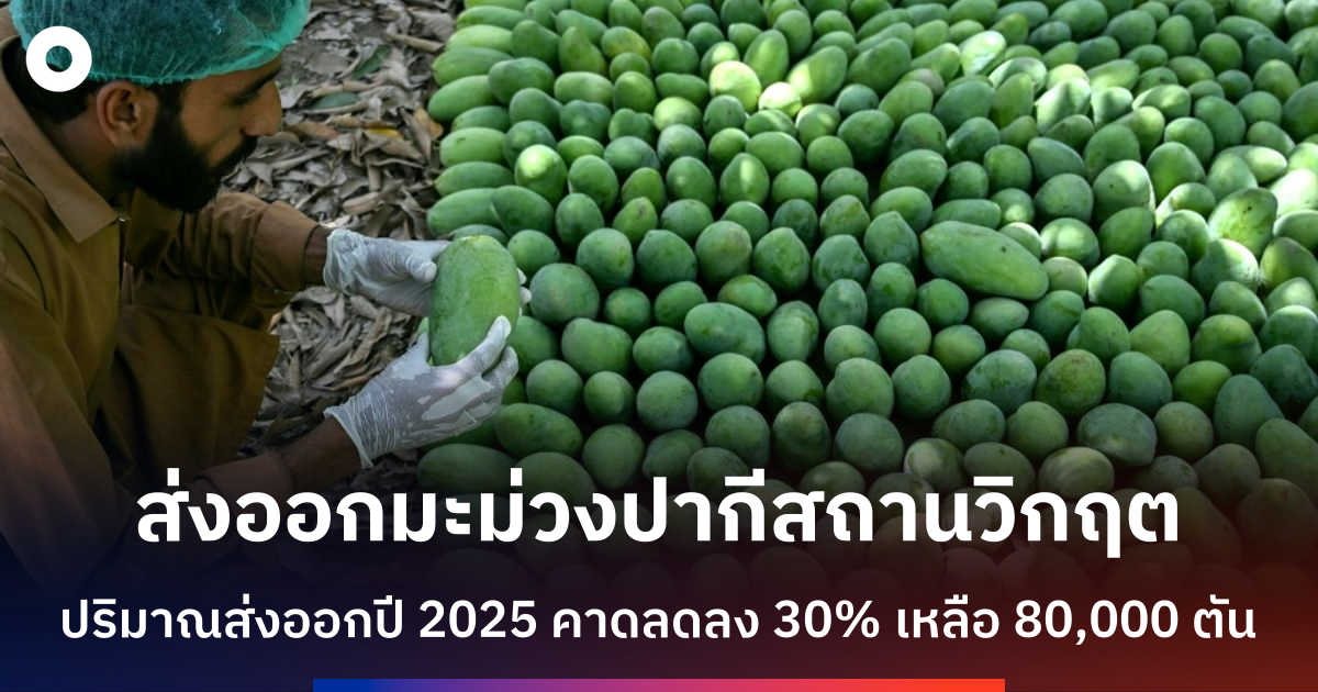 สงครามตะวันออกกลางถล่มส่งออกมะม่วงปากีสถาน-คาดปีนี้หดตัวกว่า-30%