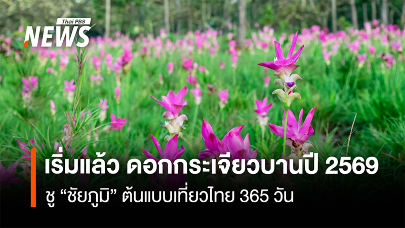 เริ่มแล้ว-ดอกกระเจียวบานปี-2569-ชู-“ชัยภูมิ”เป็นต้นแบบเที่ยวไทย-365-วัน”