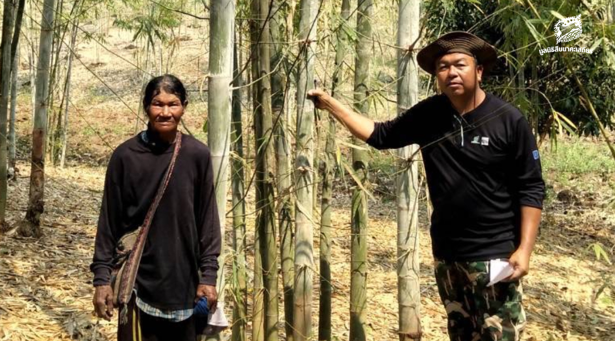 ไผ่หนึ่งกอ-จุดเริ่มต้นของเศรษฐกิจชุมชนในแนวเชื่อมต่อป่าตะวันตก-–-มูลนิธิสืบนาคะเสถียร