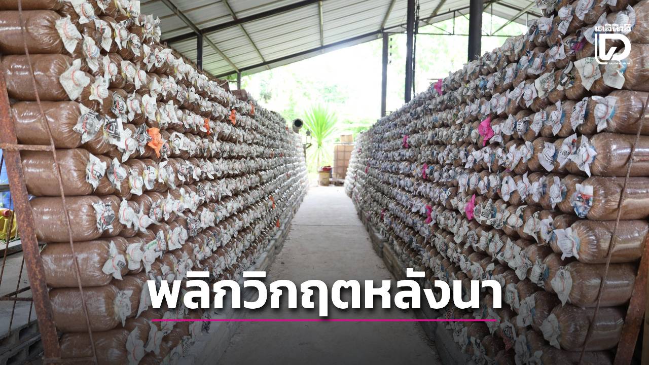 พลิกวิกฤตหลังหน้านา-ชุบชีวิตเศรษฐกิจลุ่มน้ำโขง-|-เดลินิวส์