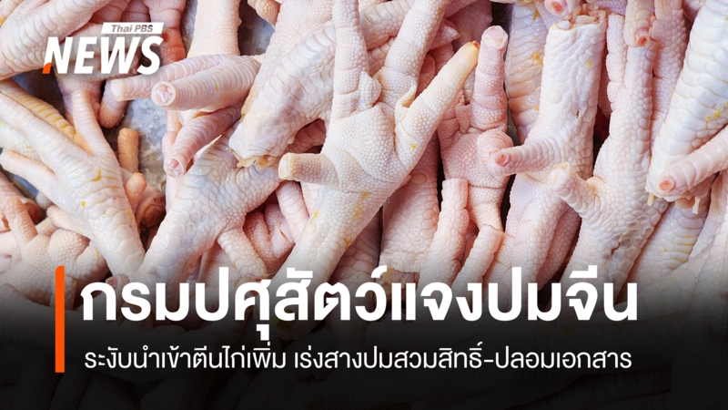 “ปศุสัตว์”-เร่งสางปมสวมสิทธิ์ตีนไก่ส่งออกจีน-ขู่ฟันเจ้าหน้าที่เอี่ยว