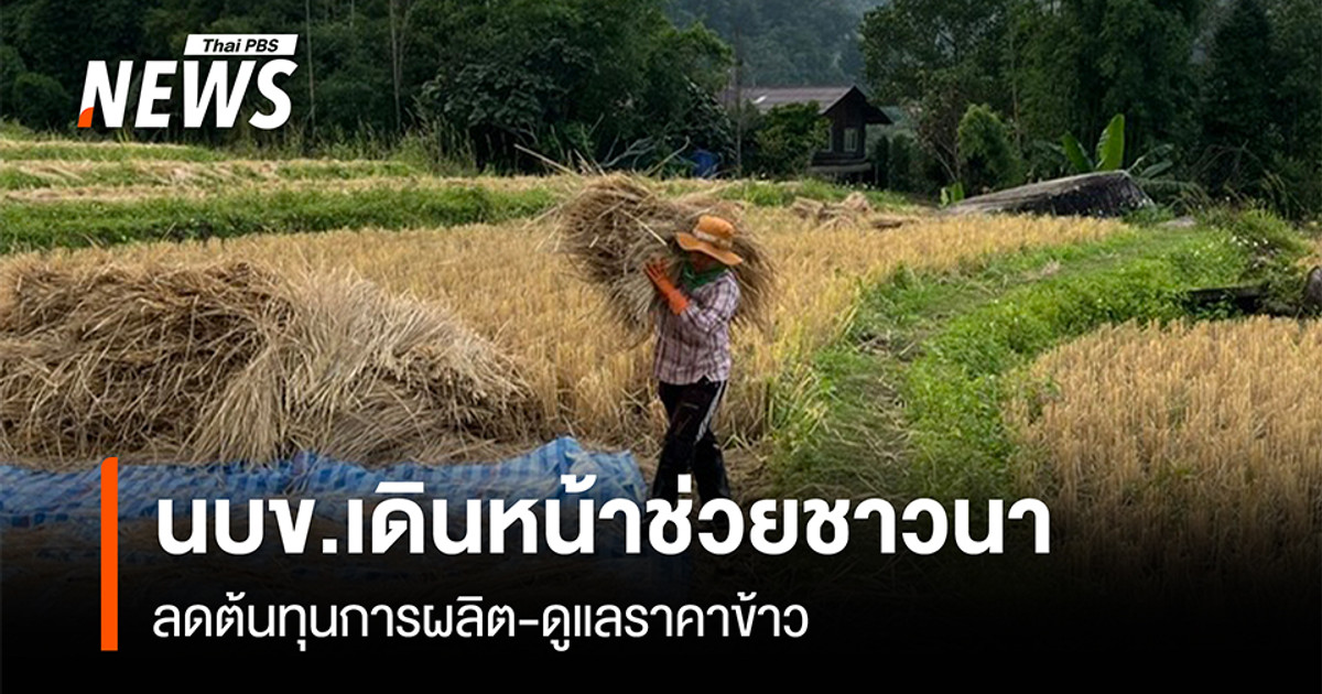 นบข.เดินหน้าช่วยชาวนา-ลดต้นทุนการผลิต-ดูแลราคาข้าว
