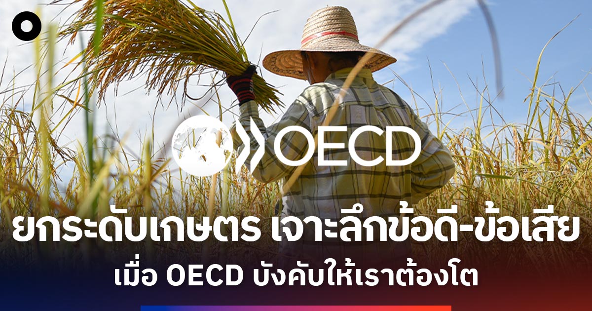 ยกระดับเกษตร-เจาะลึกข้อดี-ข้อเสีย-เมื่อเข้า-oecd-บังคับให้เราต้องโต