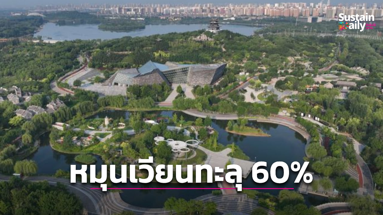 จีนเร่งเครื่องเศรษฐกิจสีเขียว-พลังงานหมุนเวียนทะลุ-60%-|-เดลินิวส์