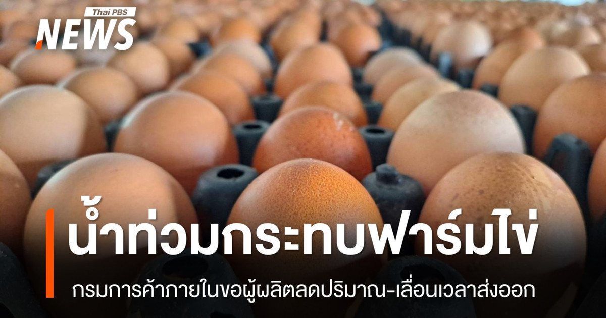 กรมการค้าภายในแก้สถานการณ์ไข่ไก่-ขอให้ชะลอการส่งออกไปก่อน-หลังฟาร์มบางแห่งถูกน้ำท่วม